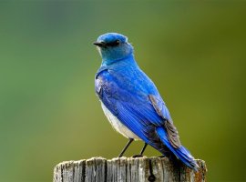 10 самых интересных твитов игровой индустрии на этой неделе - изображение 1