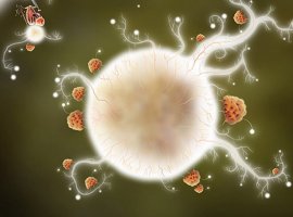 Botanicula вырастет на iPad в мае - изображение 1