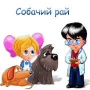 Картинки собачий рай