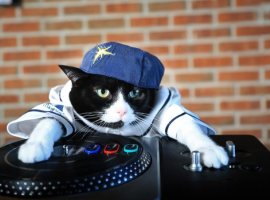 Записки сумасшедшего: как пройти Dark Souls 3 на диджейском пульте - изображение 1