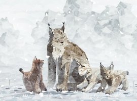 В продолжении Shelter барсучиху сменит рысь
- изображение 1