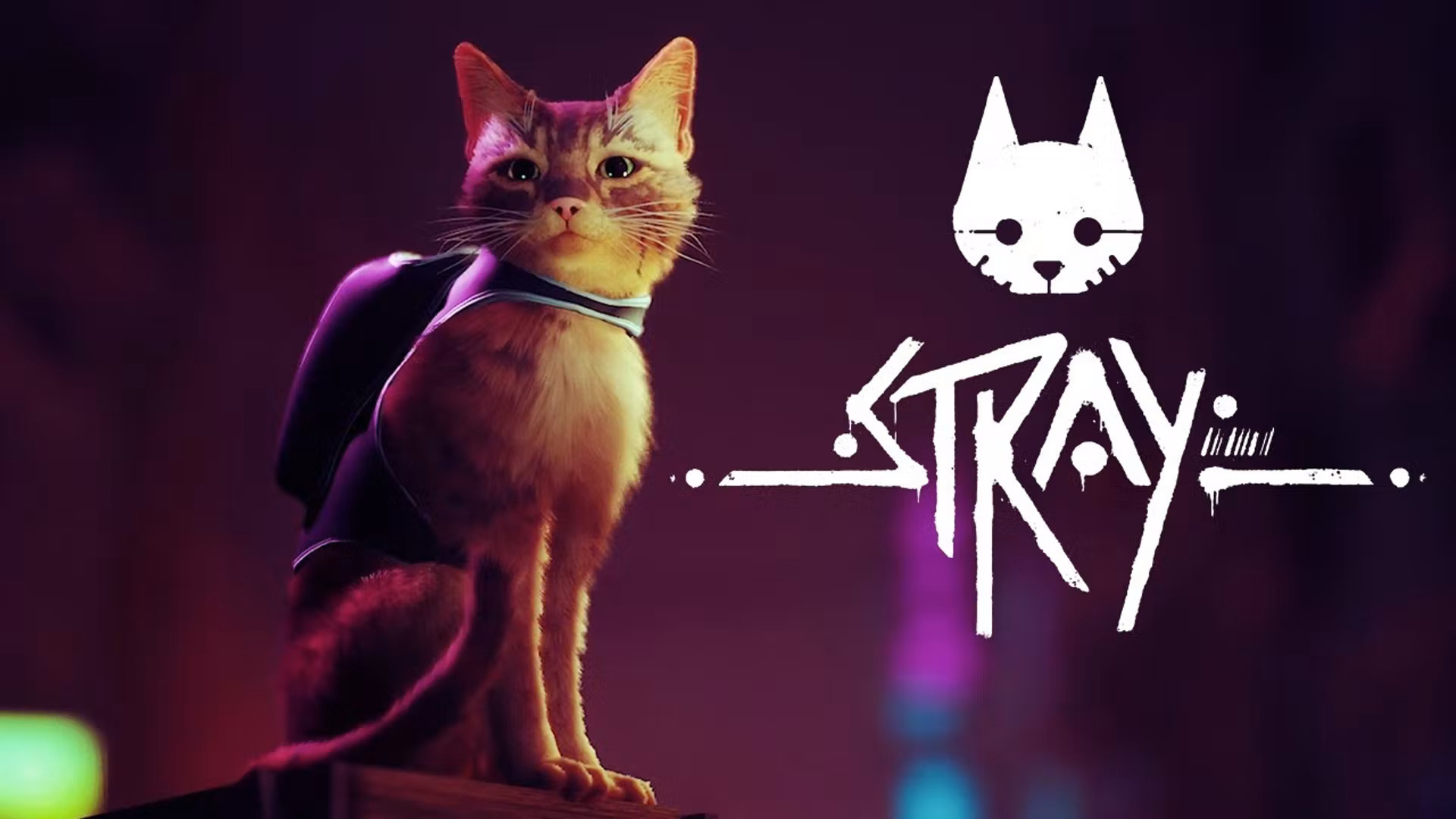 Stray (2022) – обзоры и оценки, описание, даты выхода DLC, официальный сайт  игры