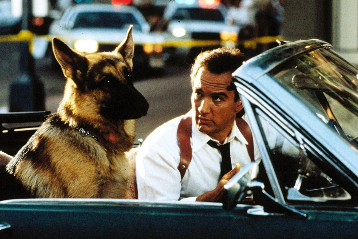 После съёмок фильма «К-9: Собачья работа» Джеймс Белуши завёл себе двух немецких овчарок, которые исполняли роль Джерри Ли в следующих частях трилогии

Источник: Universal Pictures