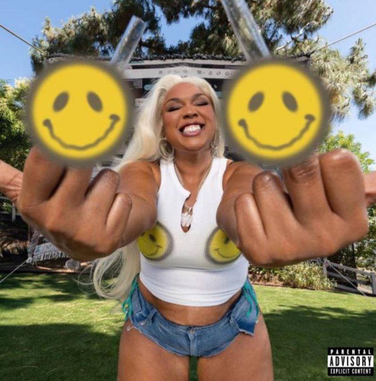 Обложка микстейпа
Фото: соцсети Лиззо