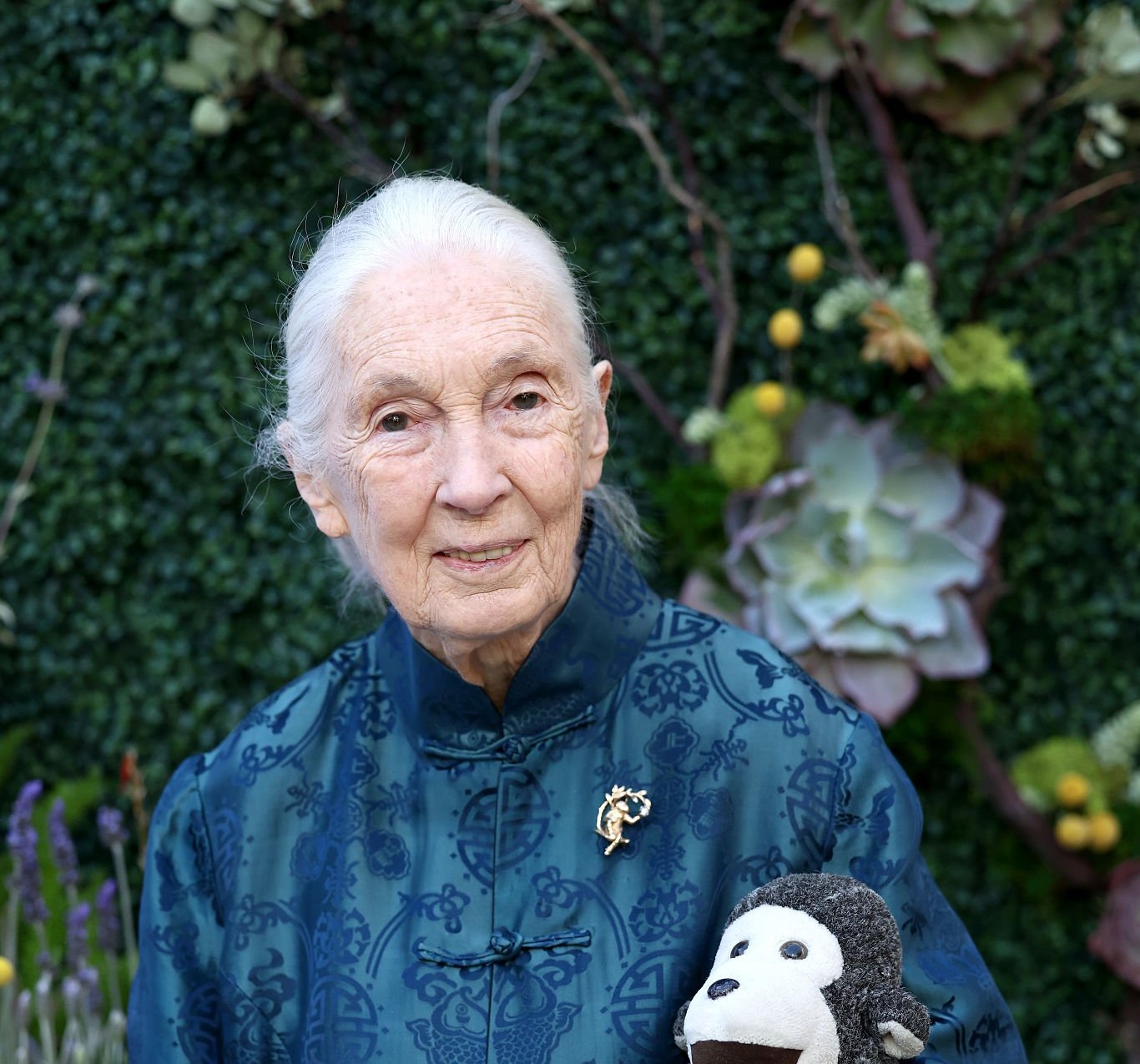 Araya Doheny/Getty Images for Sierra Club