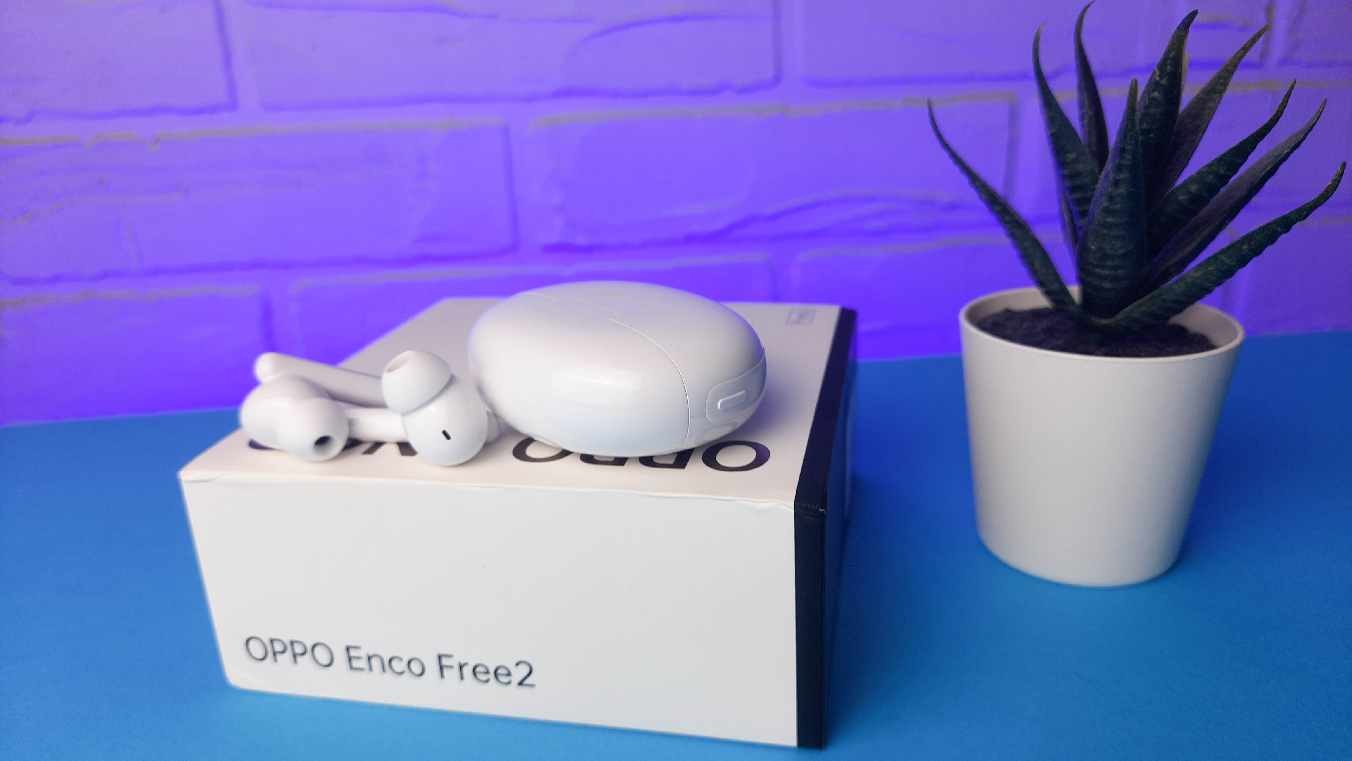 Обзор Oppo Enco Free 2: среднебюджетные TWS-наушники с персонализированным звучанием - изображение 8 Обзор Oppo Enco Free 2: среднебюджетные TWS-наушники с персонализированным звучанием - фото 8