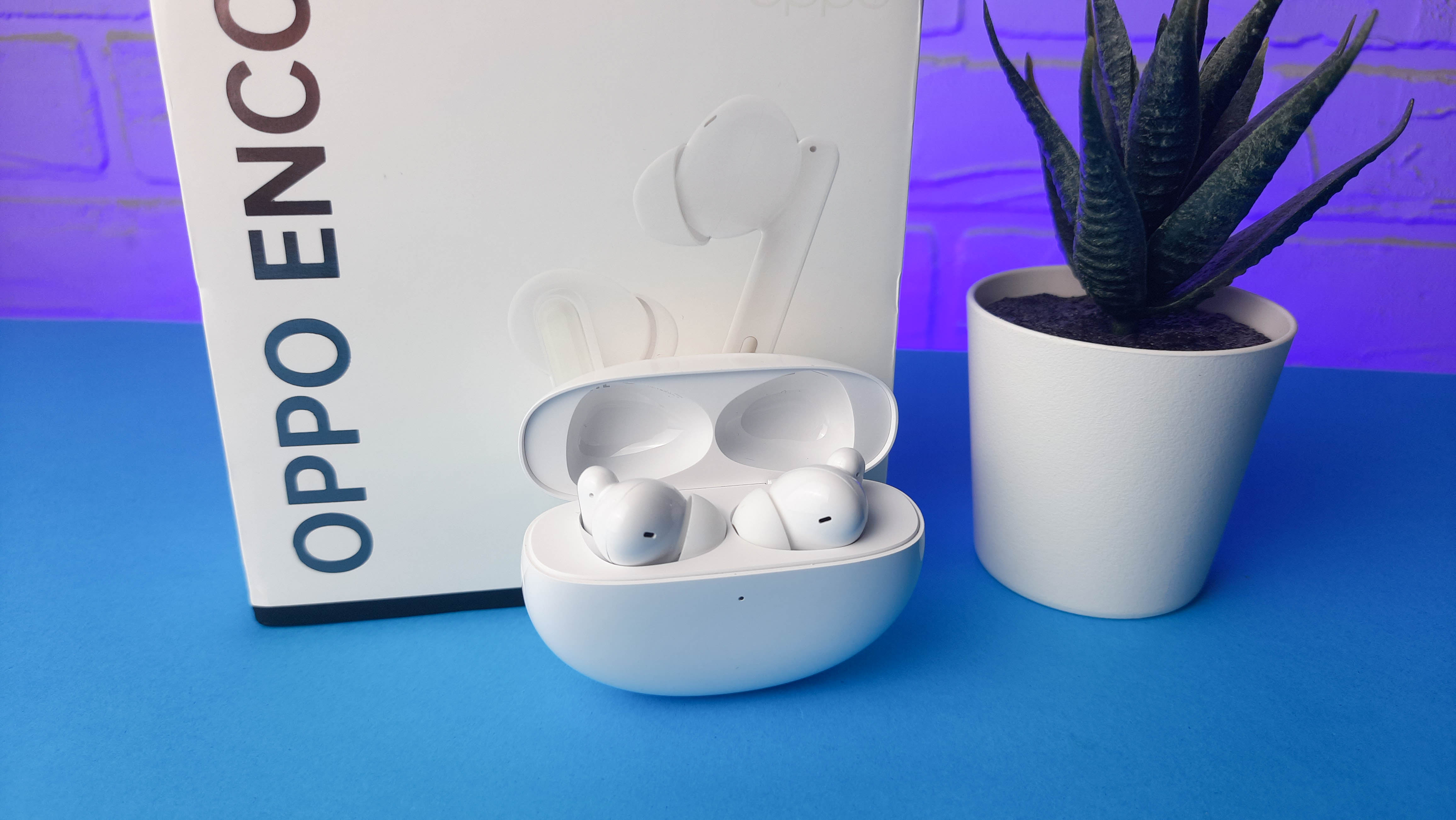 Обзор Oppo Enco Free 2: среднебюджетные TWS-наушники с персонализированным звучанием - изображение 11 Обзор Oppo Enco Free 2: среднебюджетные TWS-наушники с персонализированным звучанием - фото 11