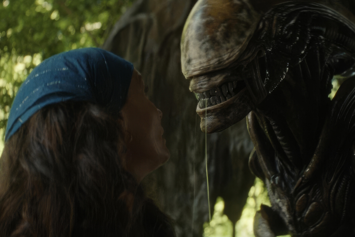 Там, где ксеноморф едва виден, бутафории незаметно. Но его нам, в основном, будут показывать при хорошем освещении
Фото: FX