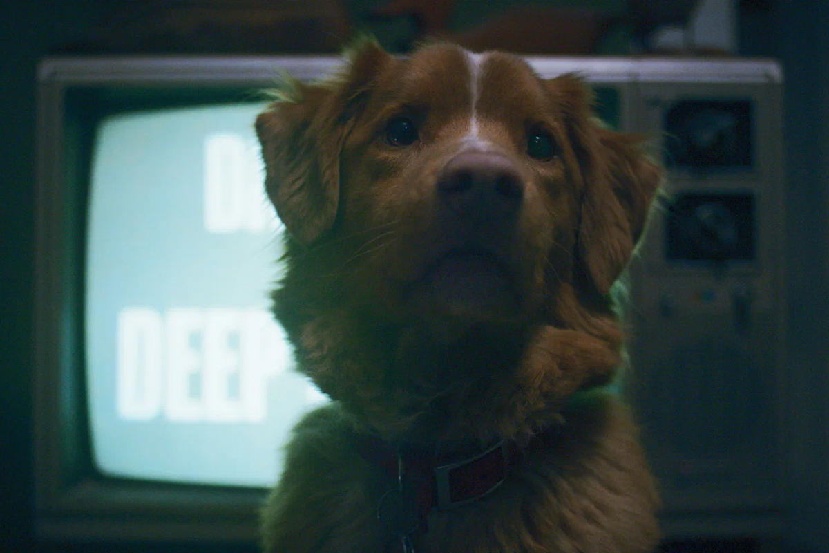 Режиссёр Бен Леонберг потратил 400 дней, снимая своего пса Инди

Источник: Independent Film