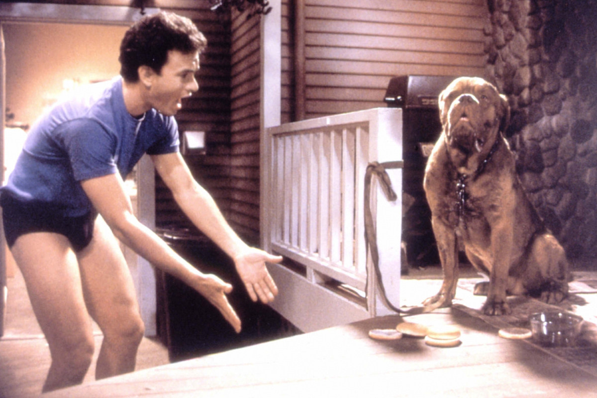 Том Хэнкс позже сказал, что «Тёрнер и Хуч» был одним из самых сложных для него опытов в работе над фильмом, потому что ему приходилось действовать, учитывая реакцию собаки

Источник: Buena Vista Pictures