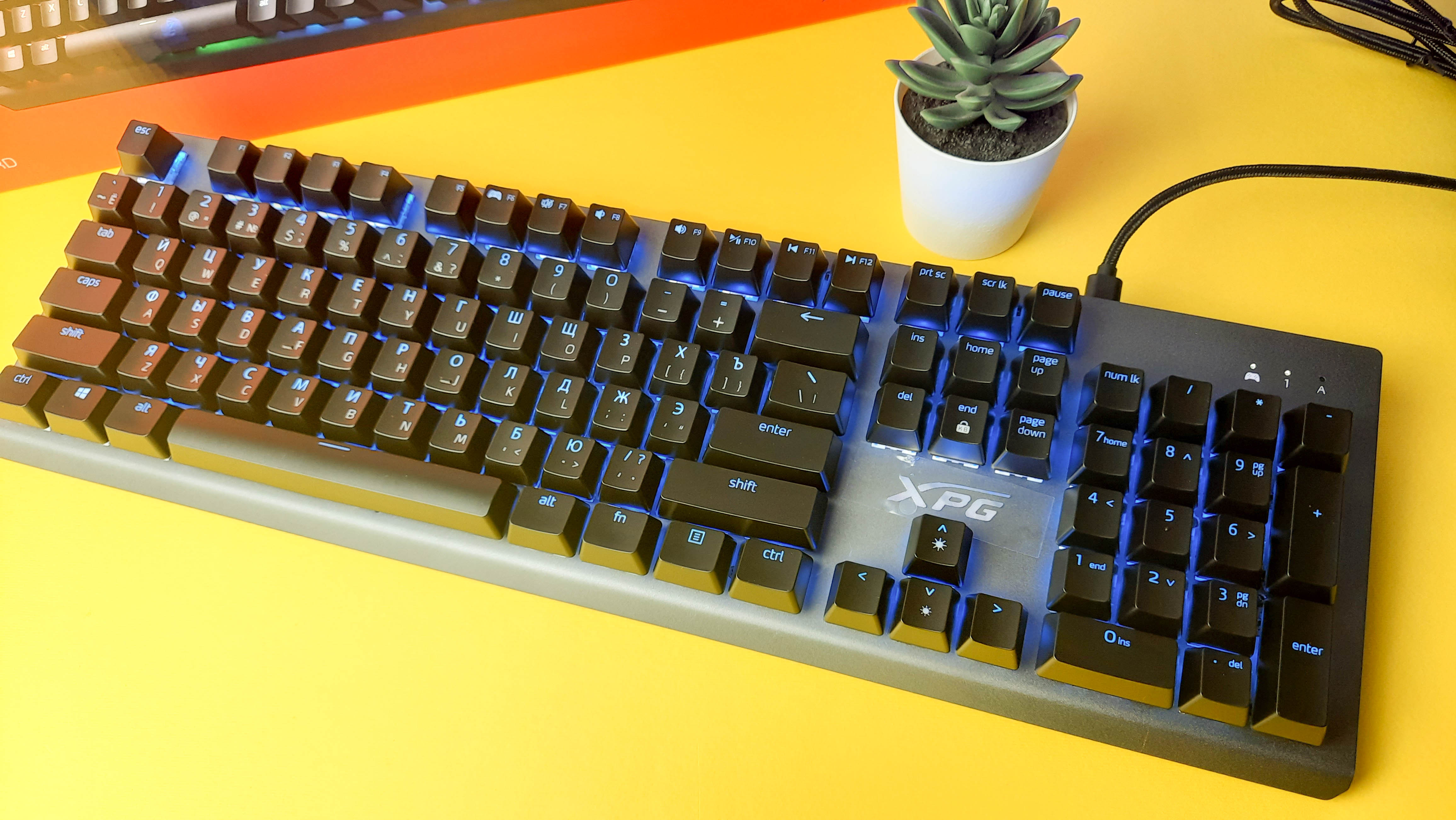 Обзор XPG Mage: игровая механическая клавиатура с RGB-подсветкой и съёмным кабелем - изображение 10 Обзор XPG Mage: игровая механическая клавиатура с RGB-подсветкой и съёмным кабелем - фото 10