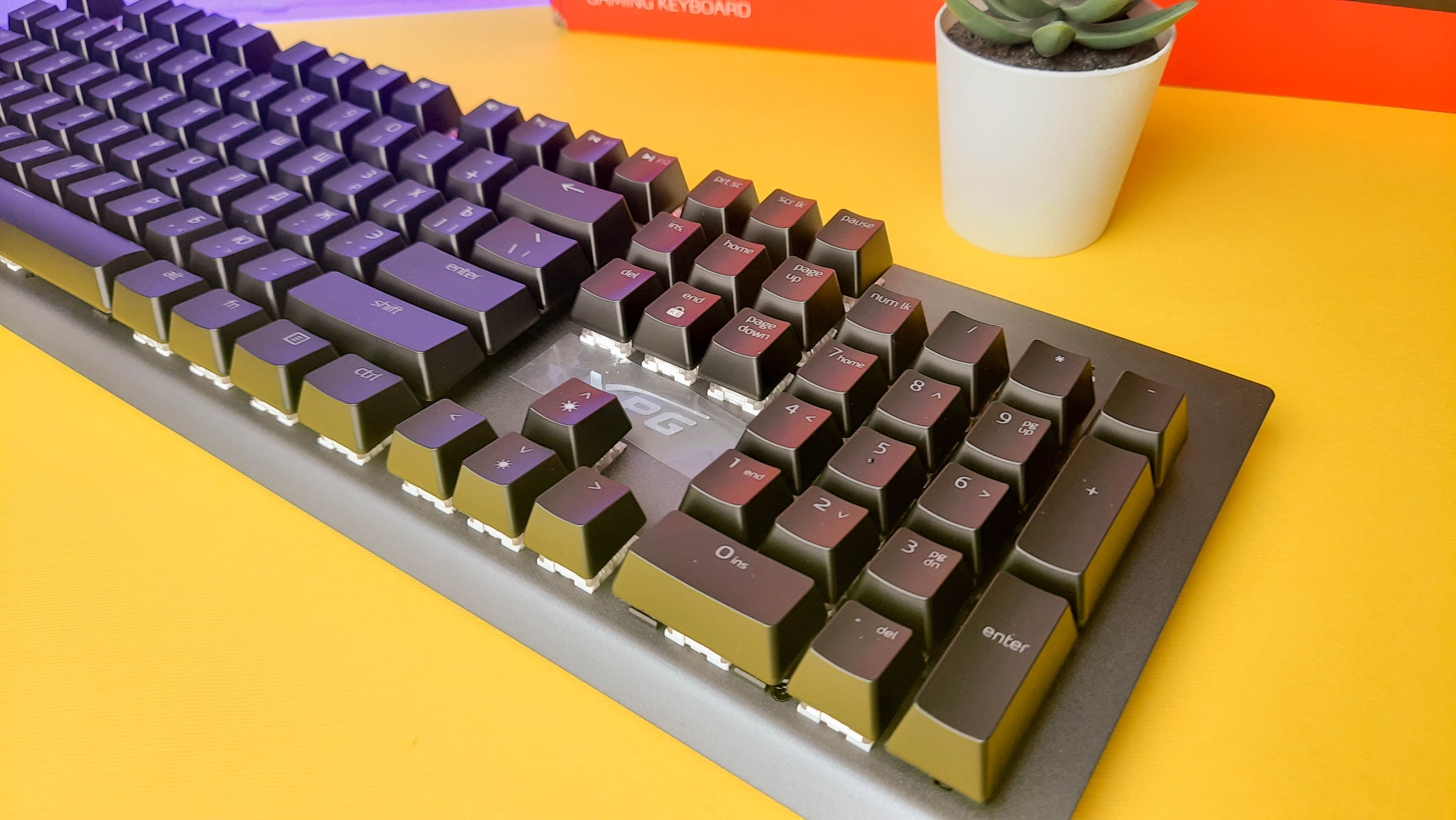 Обзор XPG Mage: игровая механическая клавиатура с RGB-подсветкой и съёмным кабелем - изображение 3 Обзор XPG Mage: игровая механическая клавиатура с RGB-подсветкой и съёмным кабелем - фото 3