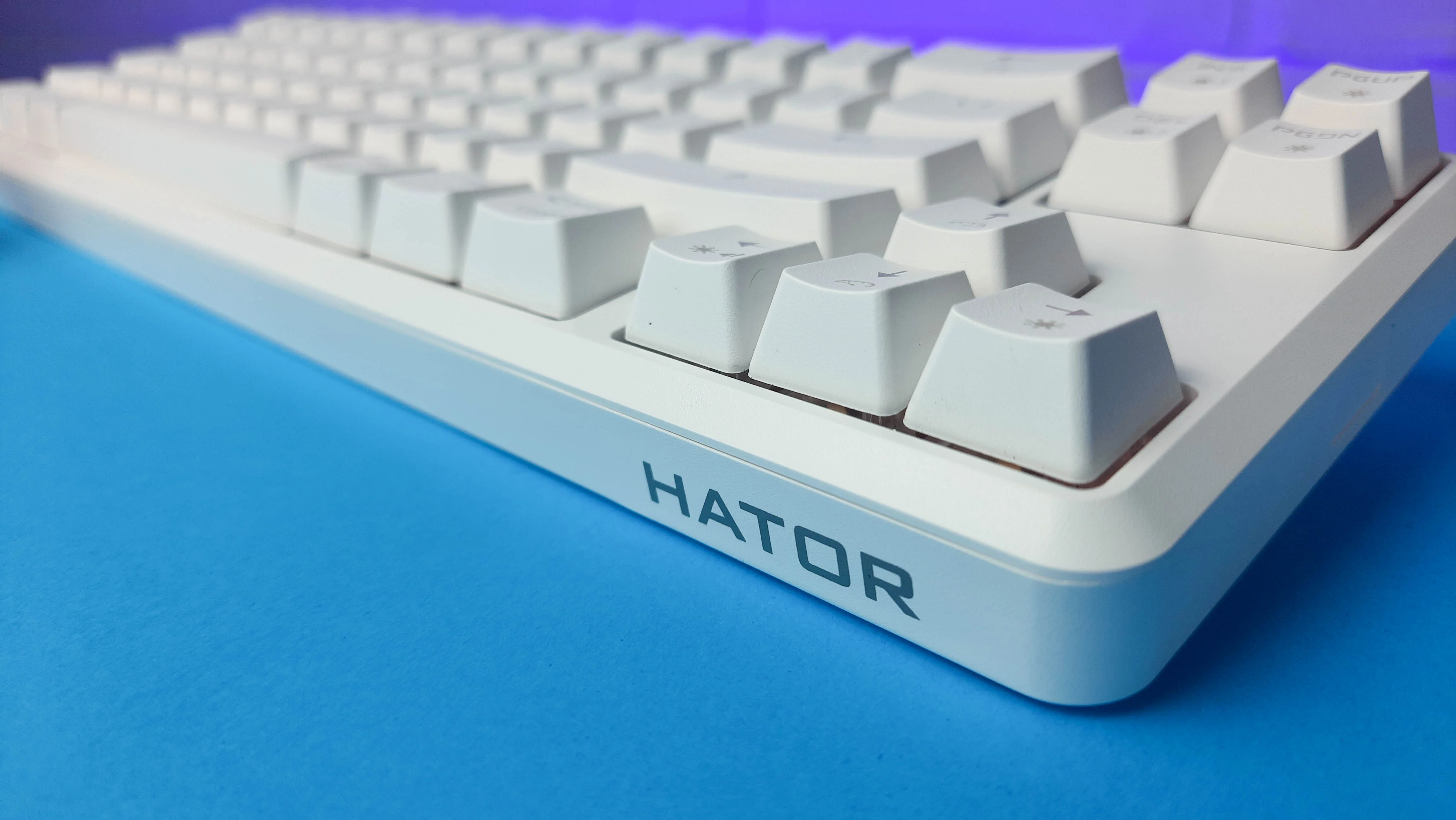 Обзор Hator Skyfall HEX Wireless: настраиваемая игровая клавиатура формата 65% с RGB-подсветкой - фото 3