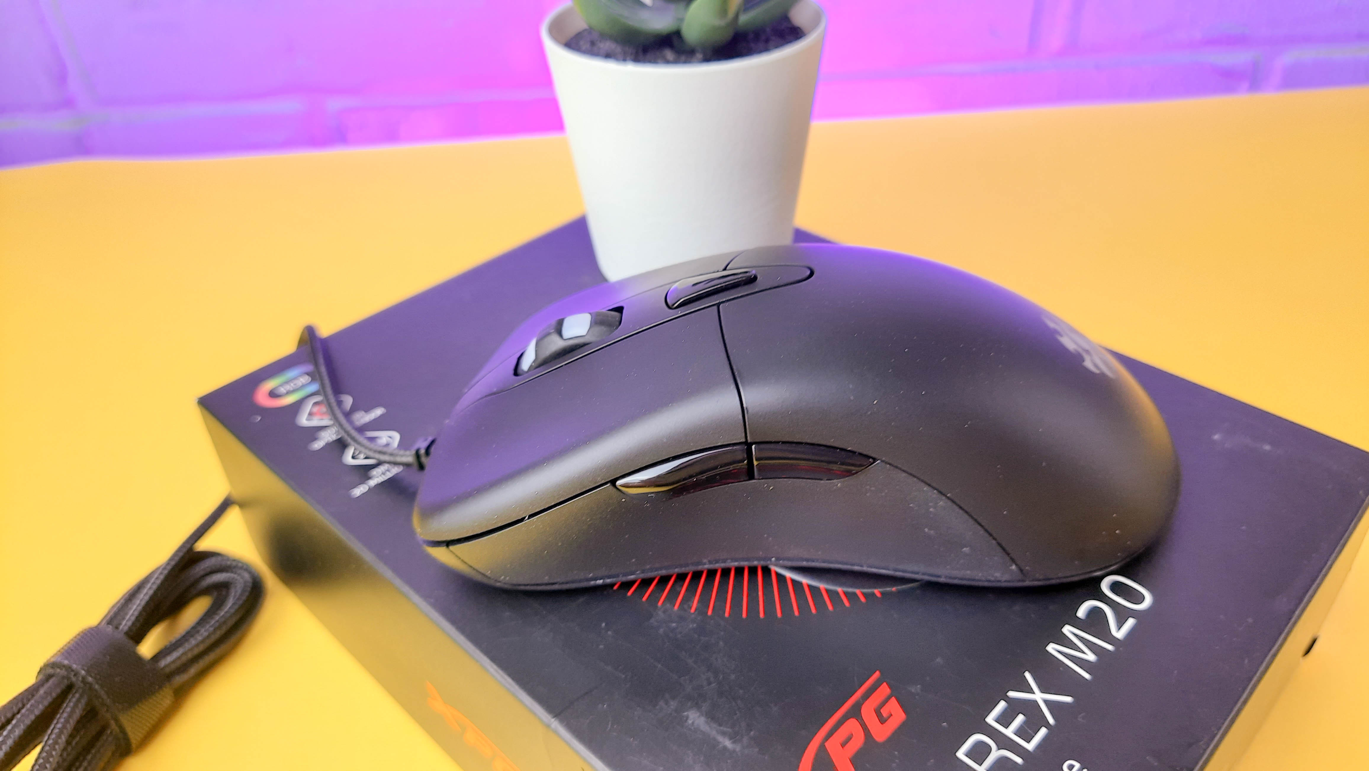 Обзор XPG Infarex M20: бюджетная игровая мышка с RGB-подсветкой - фото 8