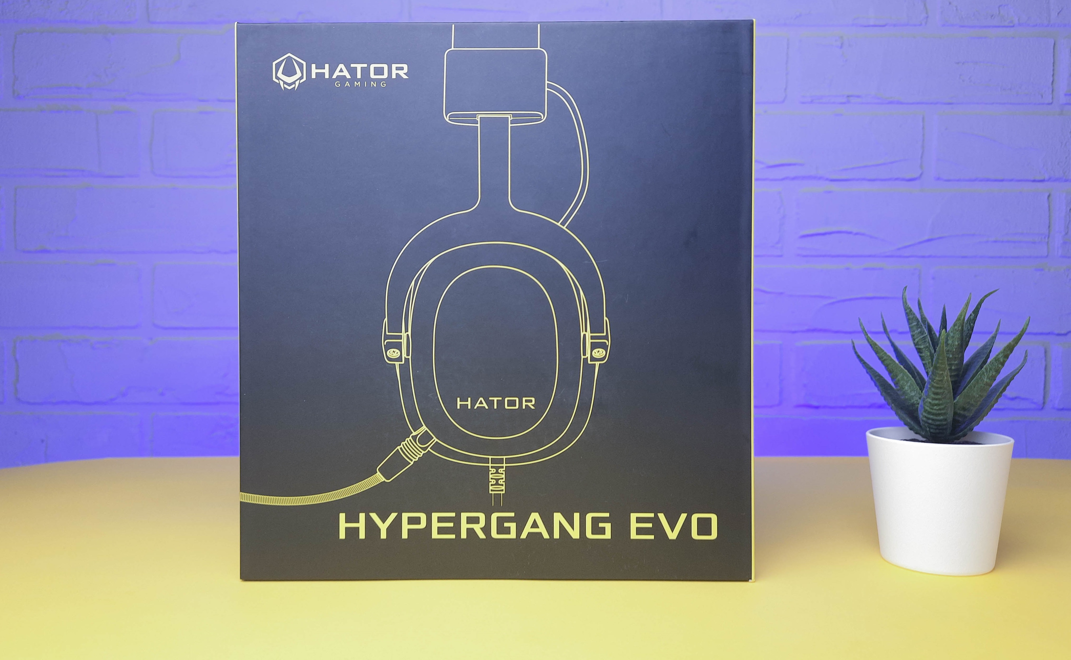 Обзор Hator Hypergang EVO: может ли бюджетная игровая гарнитура заменить дорогого конкурента - фото 8