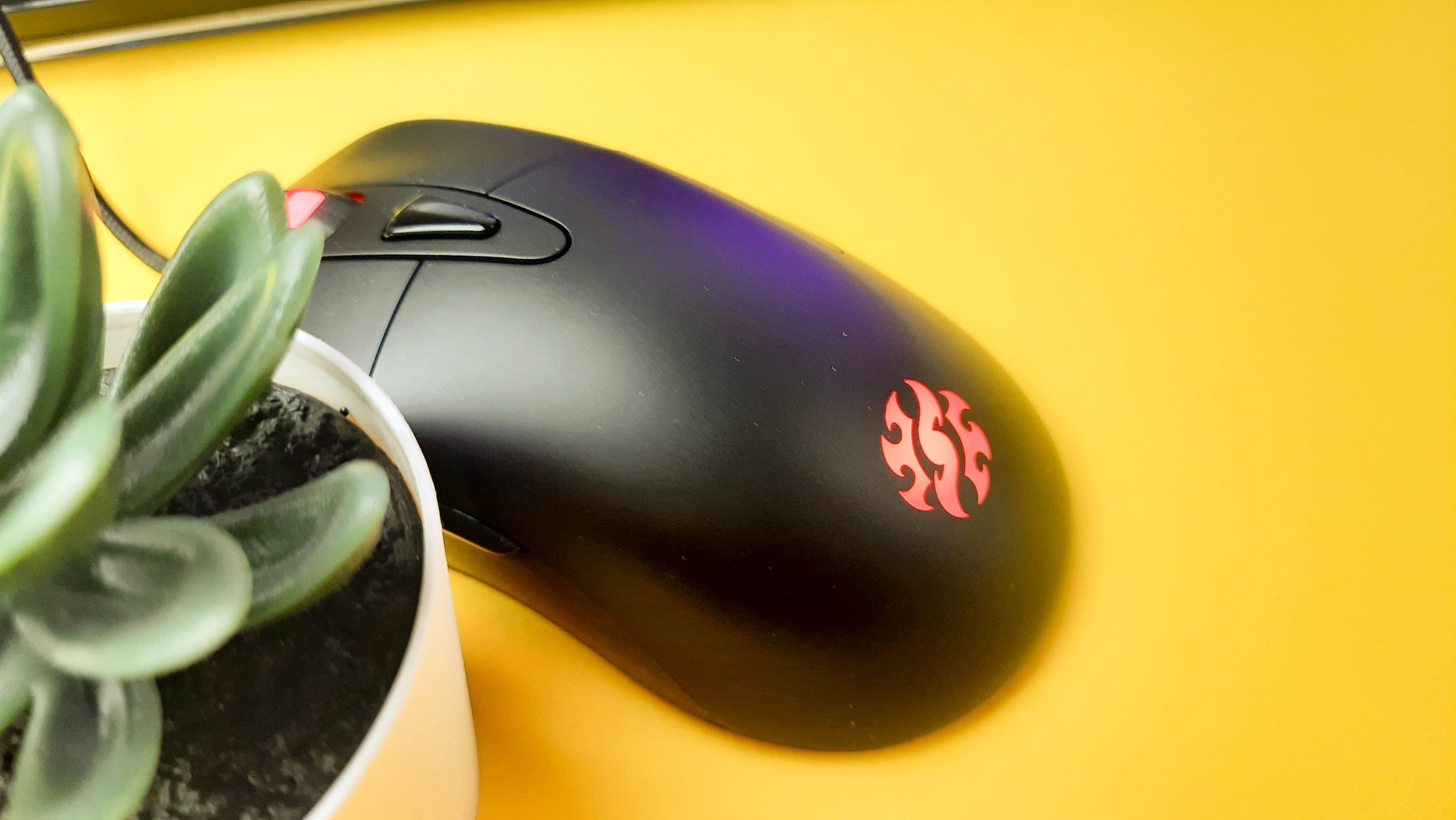 Обзор XPG Infarex M20: бюджетная игровая мышка с RGB-подсветкой - фото 7