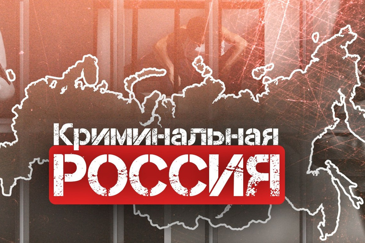 Кадр из программы «Криминальная Россия. Современные хроники»

Источник: НТВ