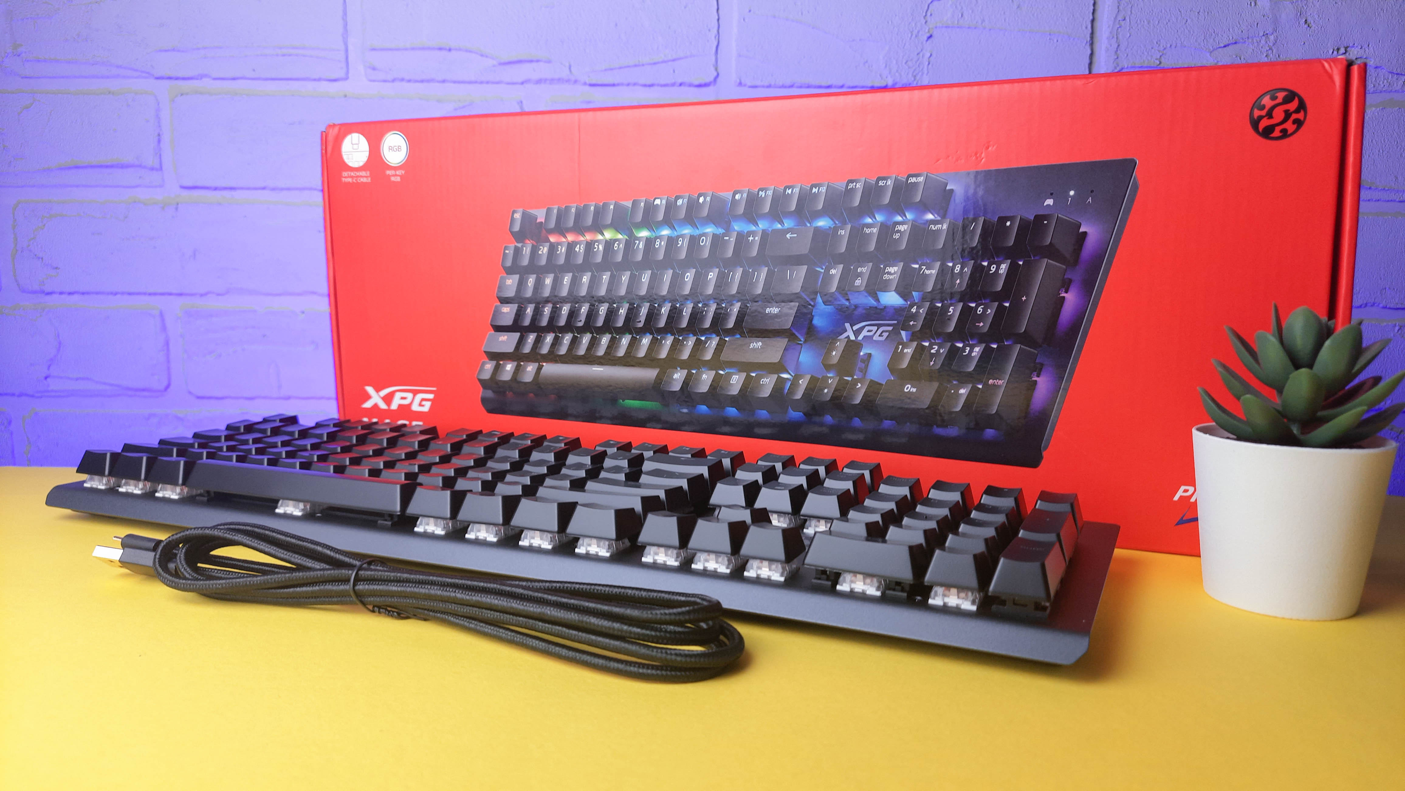 Обзор XPG Mage: игровая механическая клавиатура с RGB-подсветкой и съёмным кабелем - изображение 6 Обзор XPG Mage: игровая механическая клавиатура с RGB-подсветкой и съёмным кабелем - фото 6