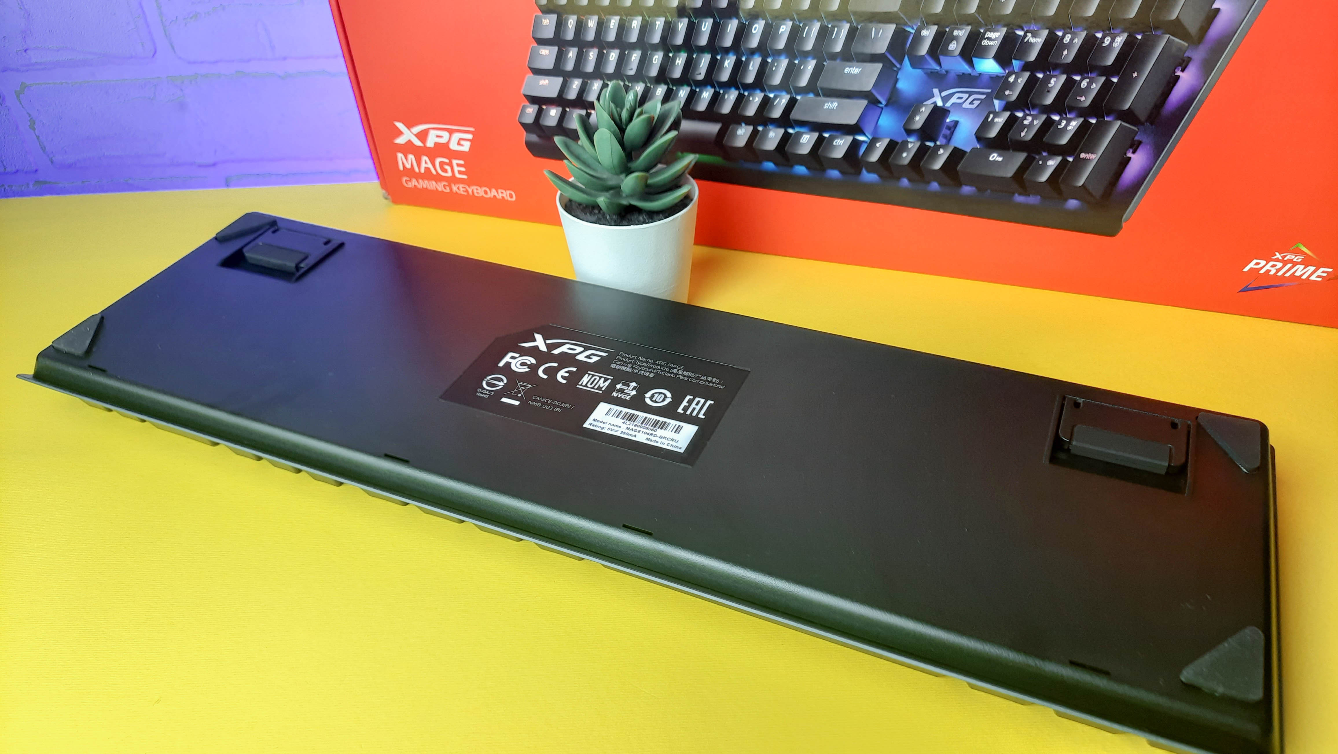 Обзор XPG Mage: игровая механическая клавиатура с RGB-подсветкой и съёмным кабелем - изображение 4 Обзор XPG Mage: игровая механическая клавиатура с RGB-подсветкой и съёмным кабелем - фото 4