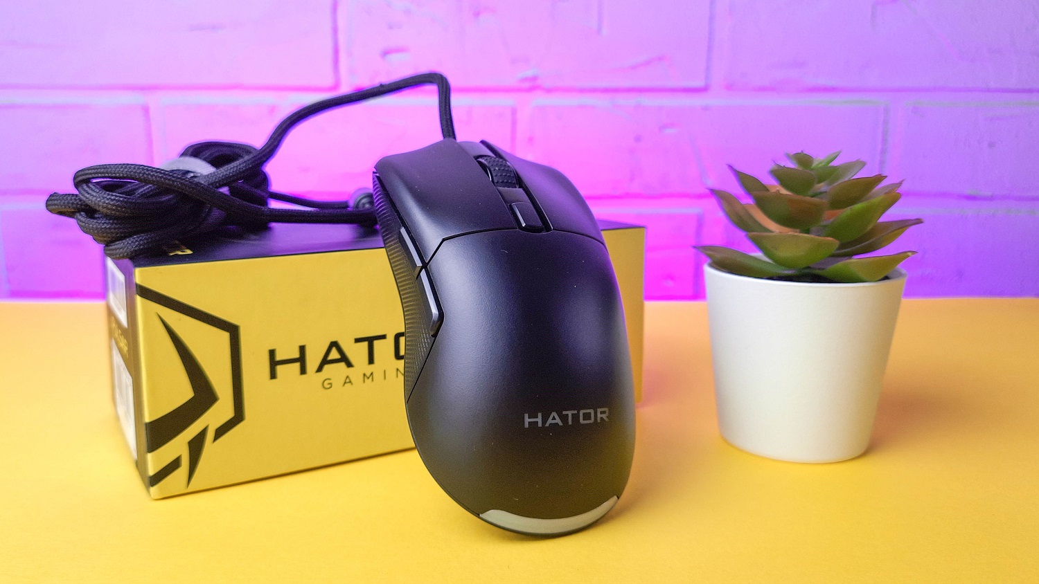 ПК-геймеру важно правильно подобрать периферию: клавиатуру и мышку. Одни не задумываясь берут модели от Razer, Logitech, Hyper X и других маститых компаний. Но что делать людям с более скромными бюджетами и можно ли по цене 45 долларов получить достойную игровую мышку с начинкой от более дорогих моделей? Выясняем это на примере Hator Pulsar: в чем проявляется ее бюджетность, а где, наоборот, раскрываются сильные стороны.