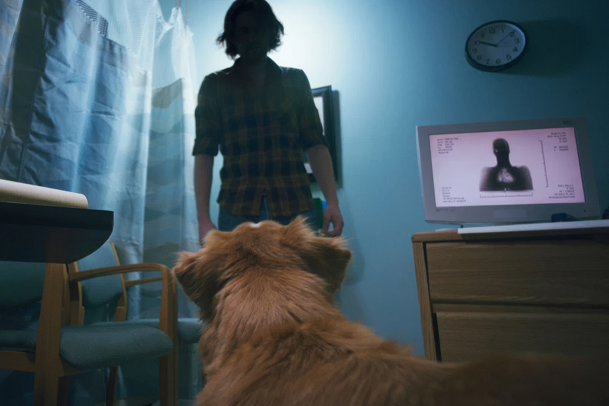 В российском прокате «Глазами пса» вышел под эгидой дистрибьютора «Вольга»

Источник: Independent Film