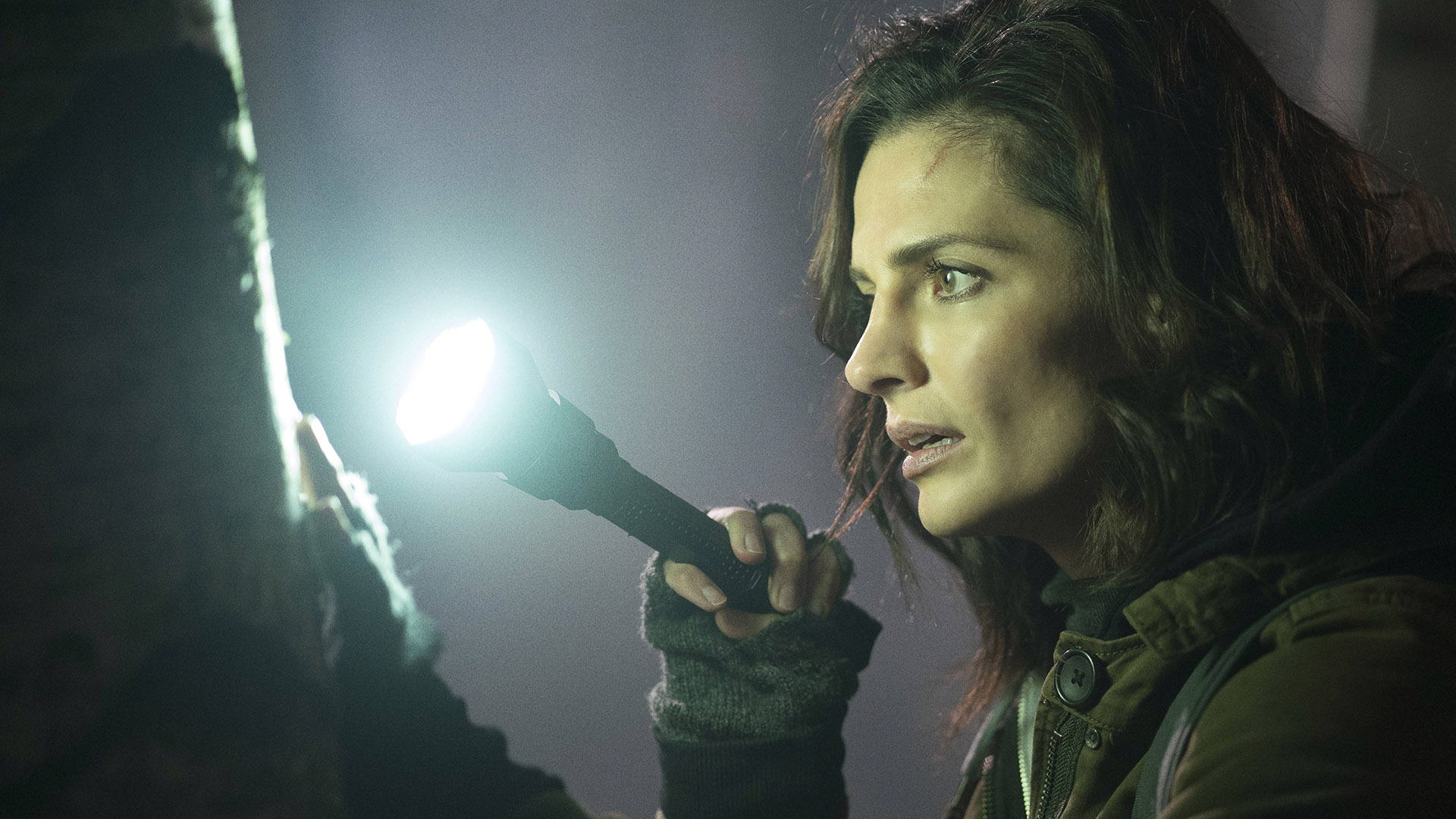 Когда долг зовёт: 10 неочевидных сериалов о ФБР и ЦРУ - фото 7