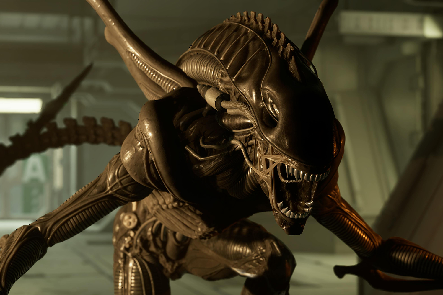 Скриншот из игры Alien: Rogue Incursion