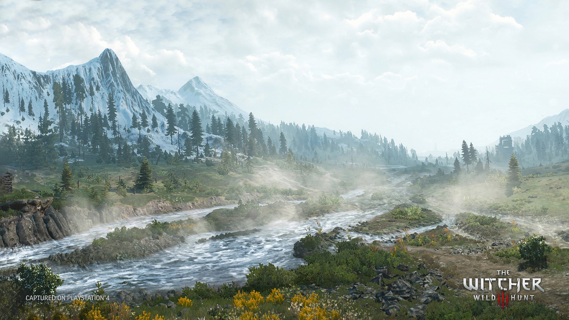 The witcher 3 сколько весит на ps4 фото 95