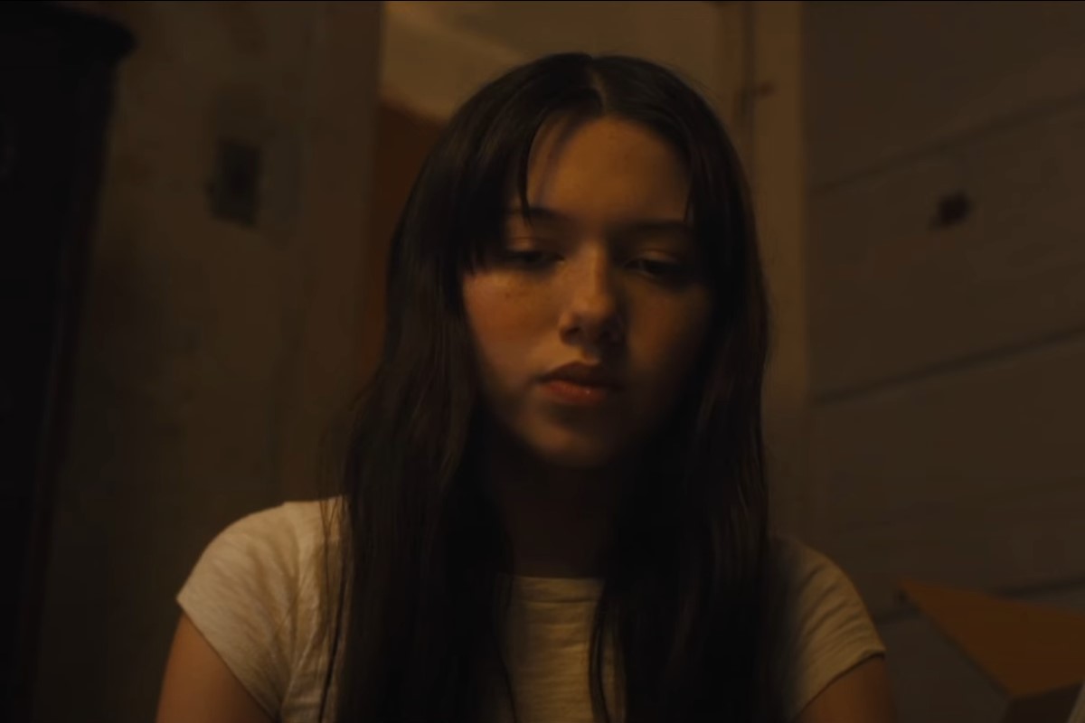 Вайолет Макгроу из «М3ГАН» заглянет в потусторонний ужас в короткометражке The Littles - фото 1