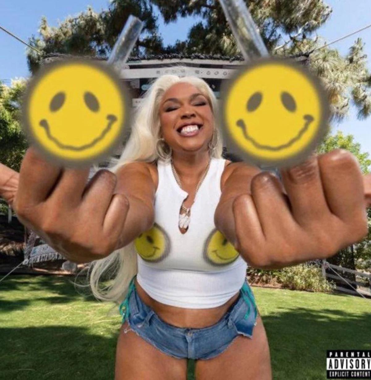 Обложка микстейпа

Фото: соцсети Лиззо