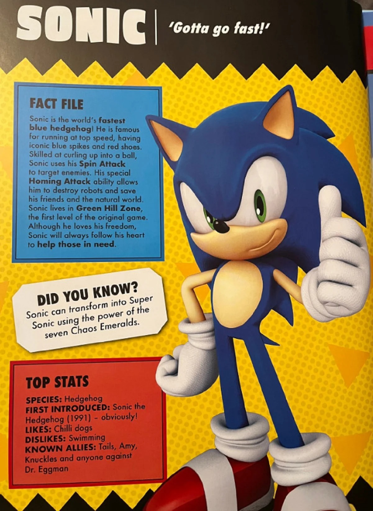 Ёж Соник из серии игр Sonic the Hedgehog оказался «бродягой» без места жительства - изображение 1 Ёж Соник из серии игр Sonic the Hedgehog оказался «бродягой» без места жительства - фото 1