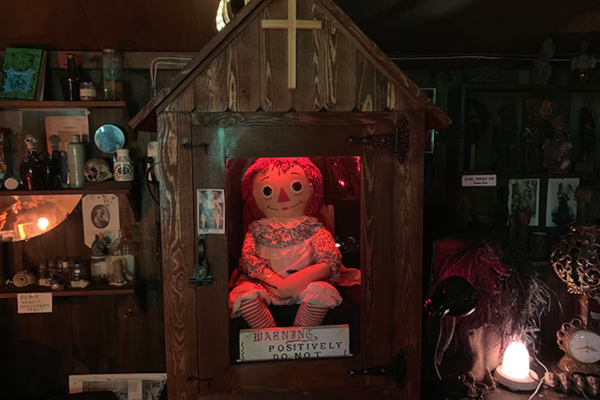 Та самая Аннабель в Оккультном музее Уорренов

Фото: Warren Occult Museum