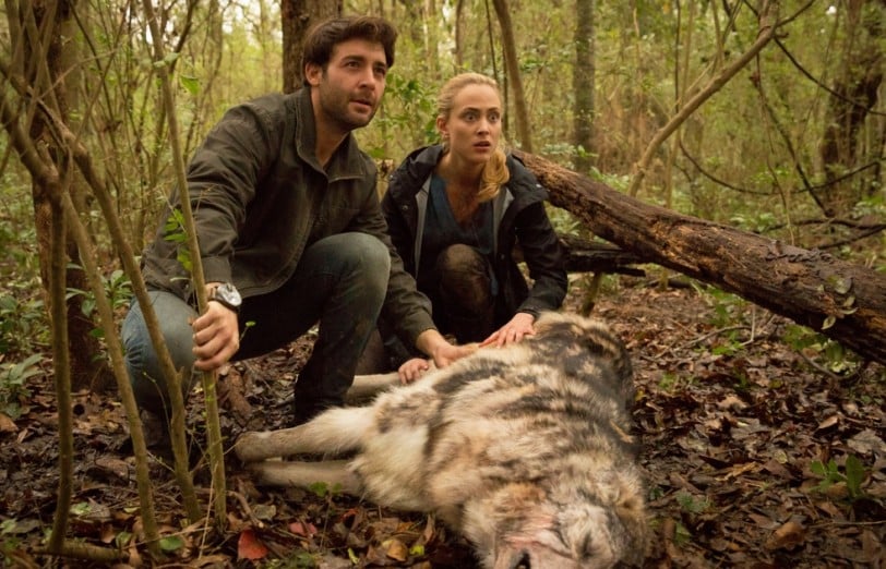 От «Благих знамений» до «Зоо-апокалипсиса»: 10 разноплановых сериалов о конце света - изображение 3 От «Благих знамений» до «Зоо-апокалипсиса»: 10 разноплановых сериалов о конце света - фото 3