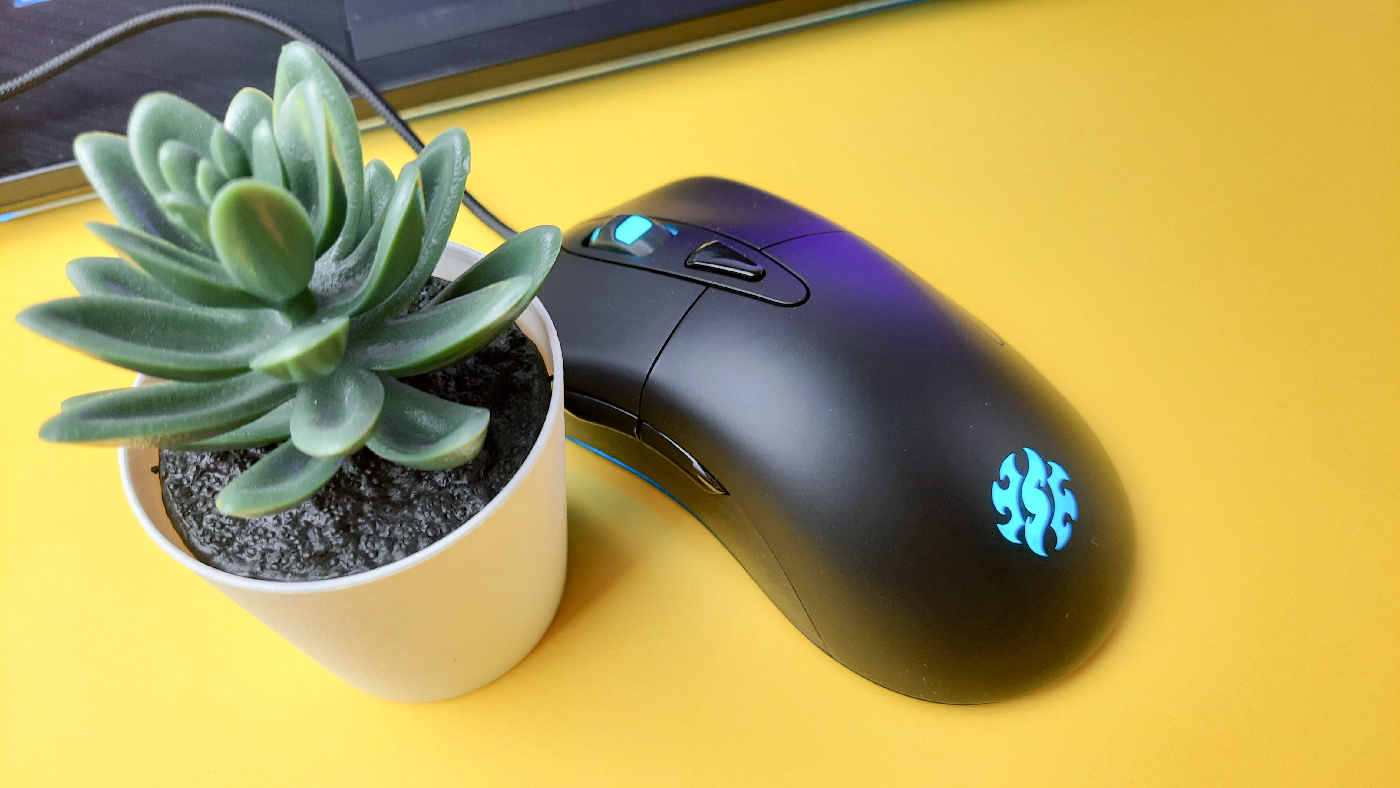 Обзор XPG Infarex M20: бюджетная игровая мышка с RGB-подсветкой - фото 10