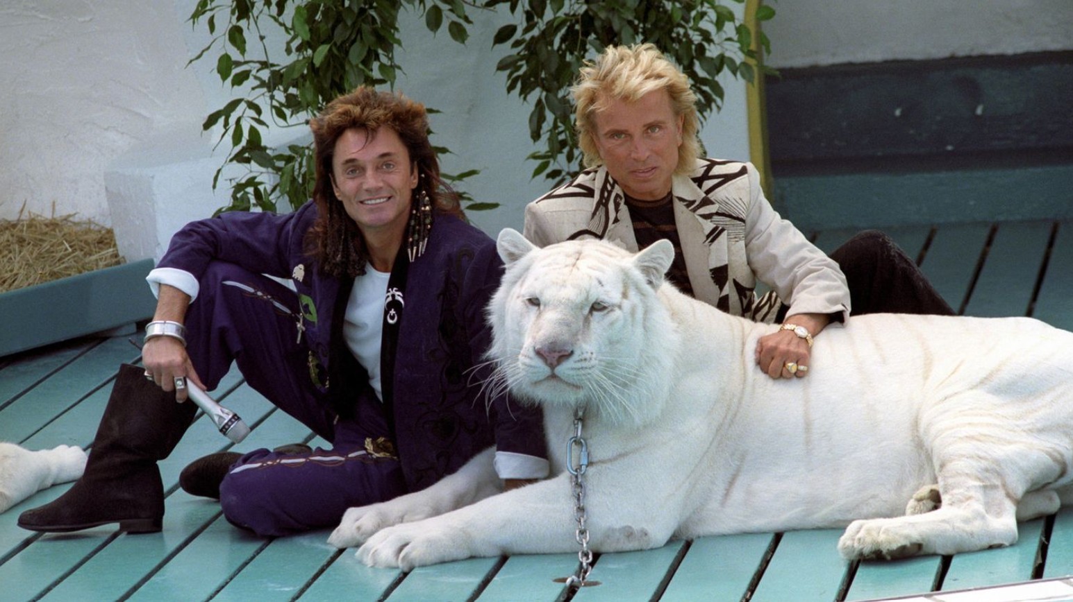 Зигфрид и Рой