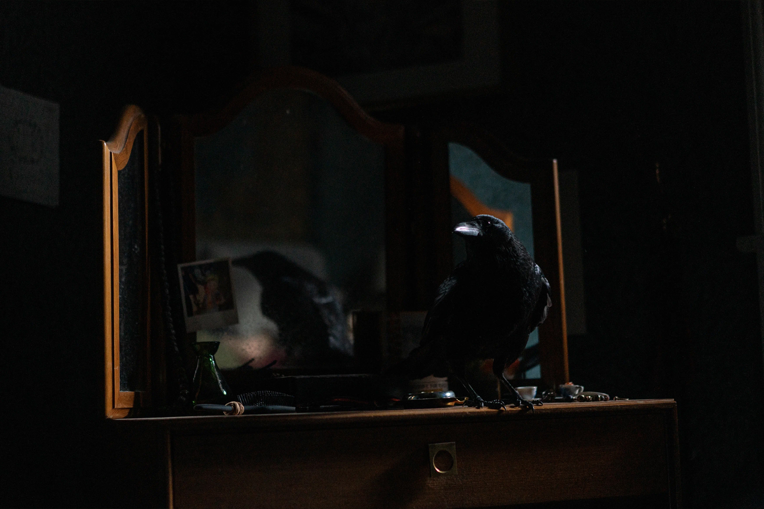 У вас там сущность в виде ворона
Кадр: World Pictures