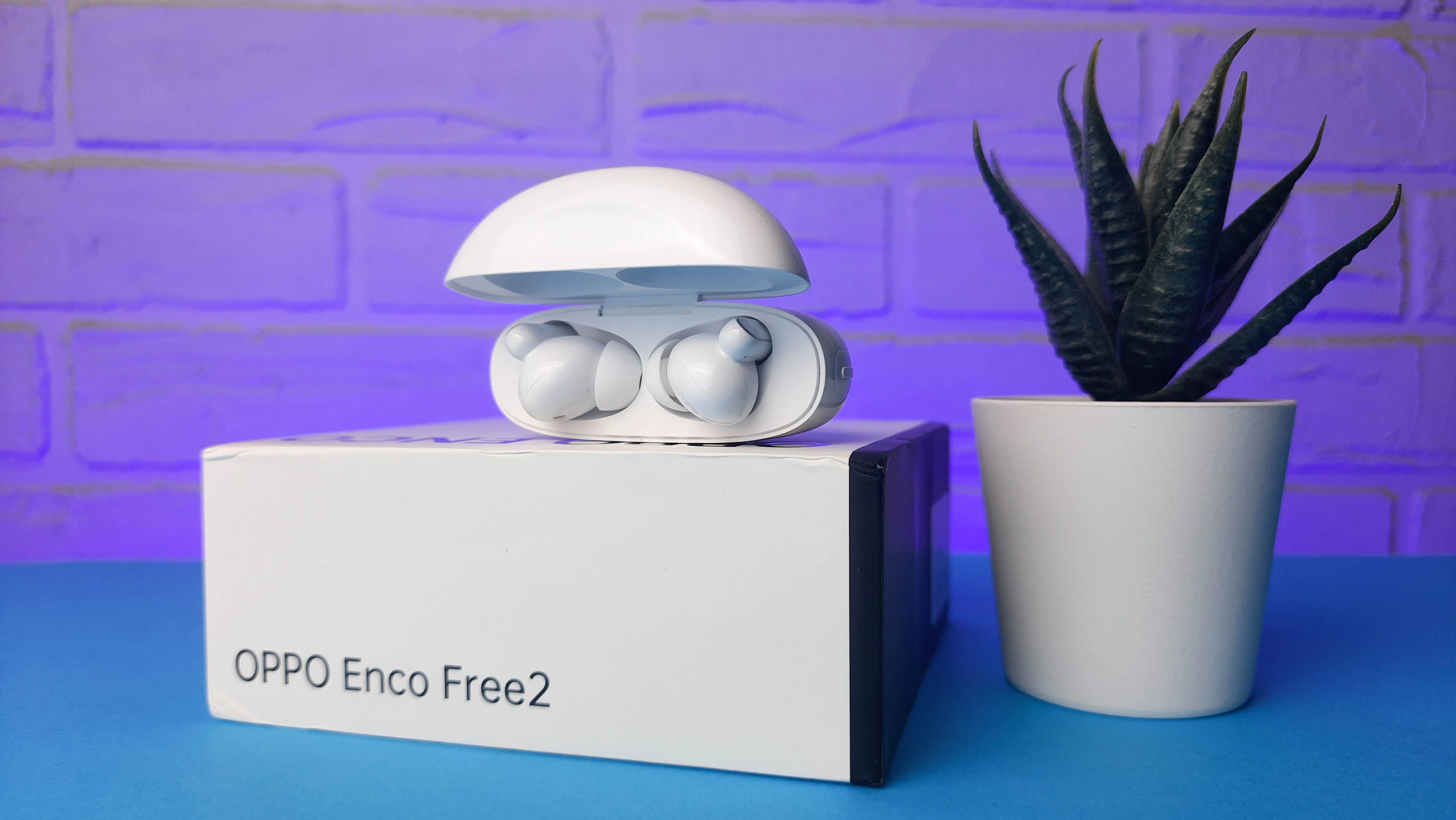 Обзор Oppo Enco Free 2: среднебюджетные TWS-наушники с персонализированным звучанием - фото 13