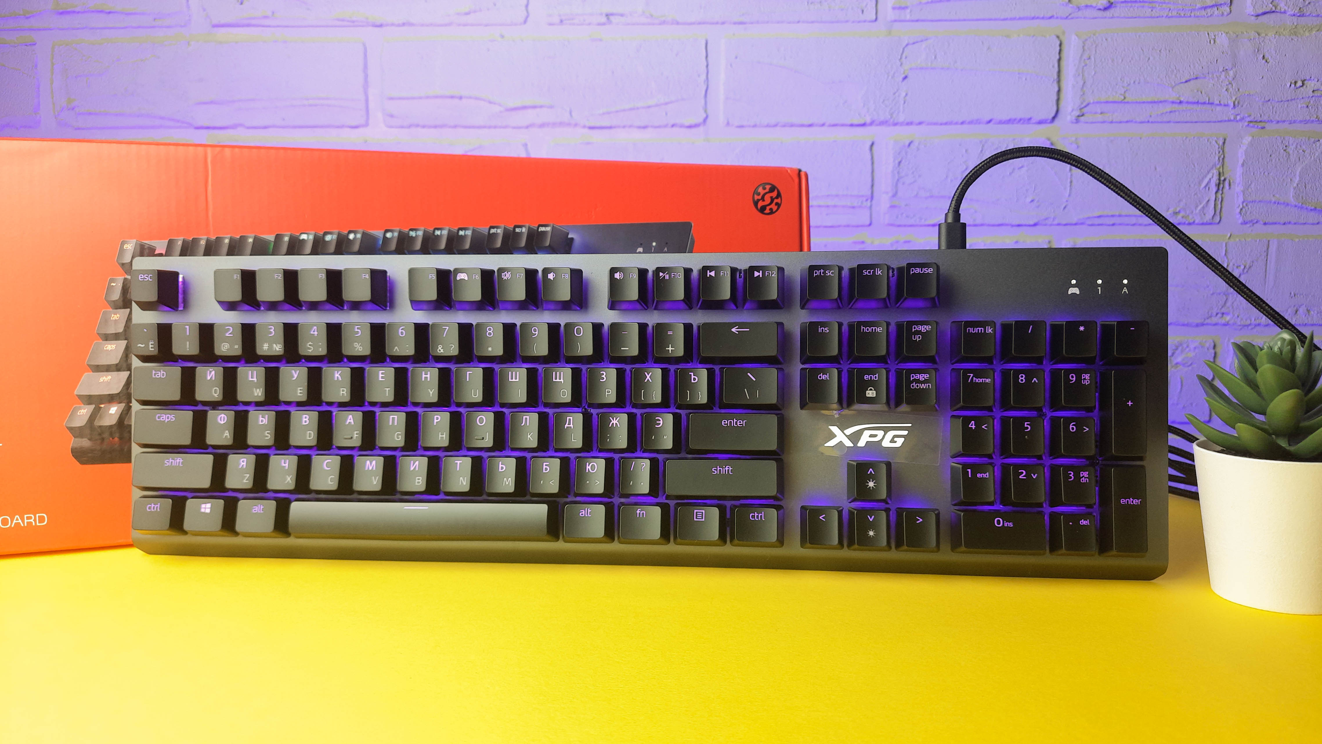 Обзор XPG Mage: игровая механическая клавиатура с RGB-подсветкой и съёмным кабелем - изображение 7 Обзор XPG Mage: игровая механическая клавиатура с RGB-подсветкой и съёмным кабелем - фото 7