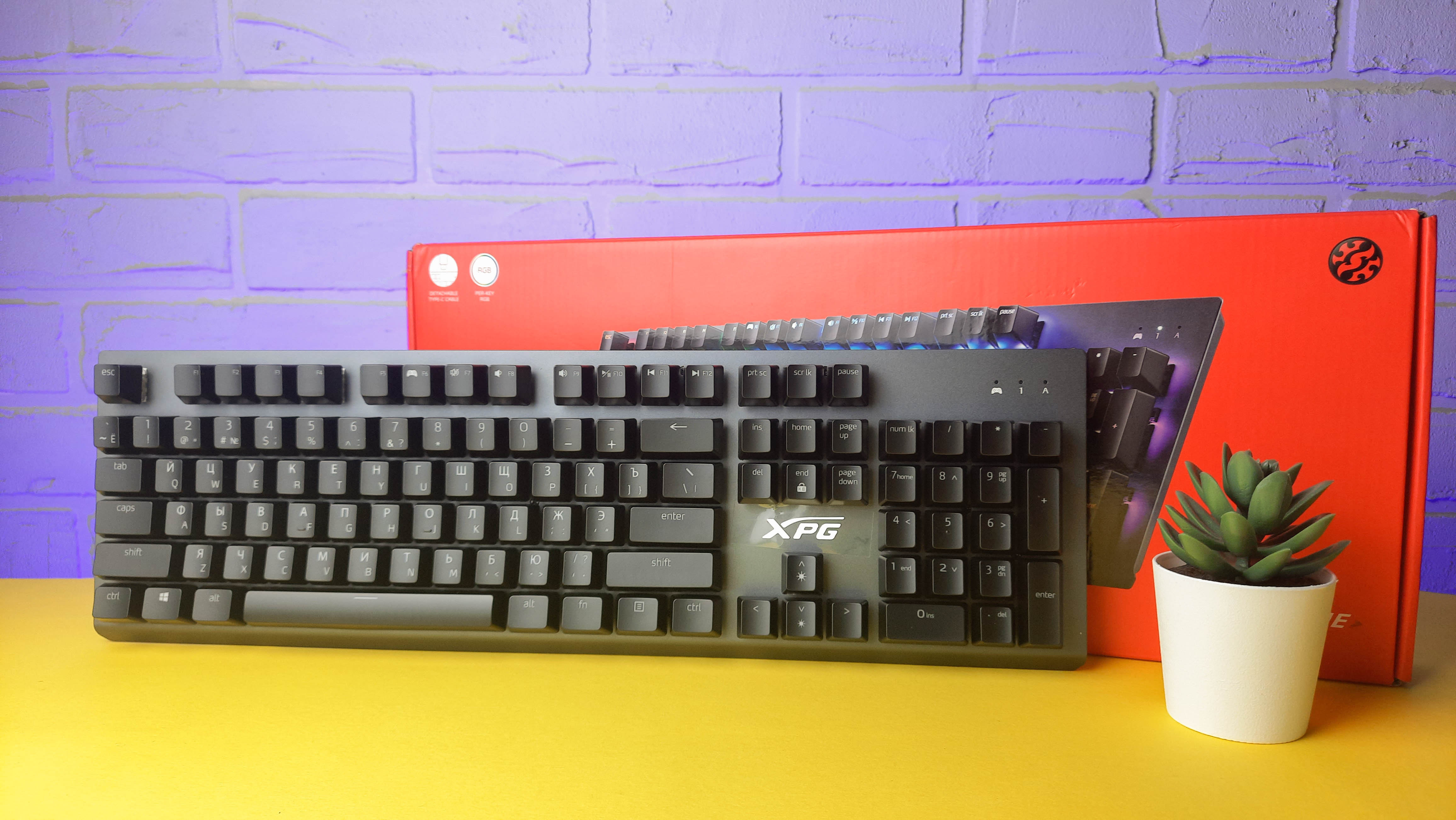 Обзор XPG Mage: игровая механическая клавиатура с RGB-подсветкой и съёмным кабелем - изображение 1 Обзор XPG Mage: игровая механическая клавиатура с RGB-подсветкой и съёмным кабелем - фото 1