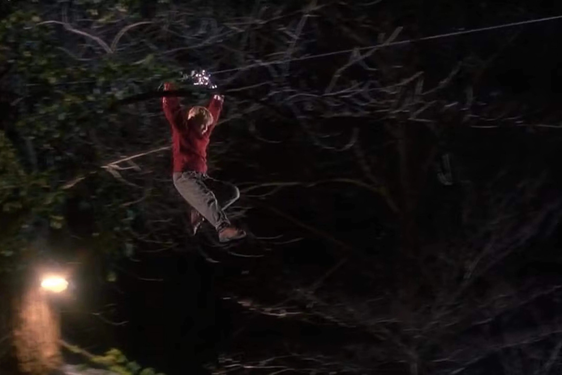 Дублёр Ларри Николас в фильме «Один дома»