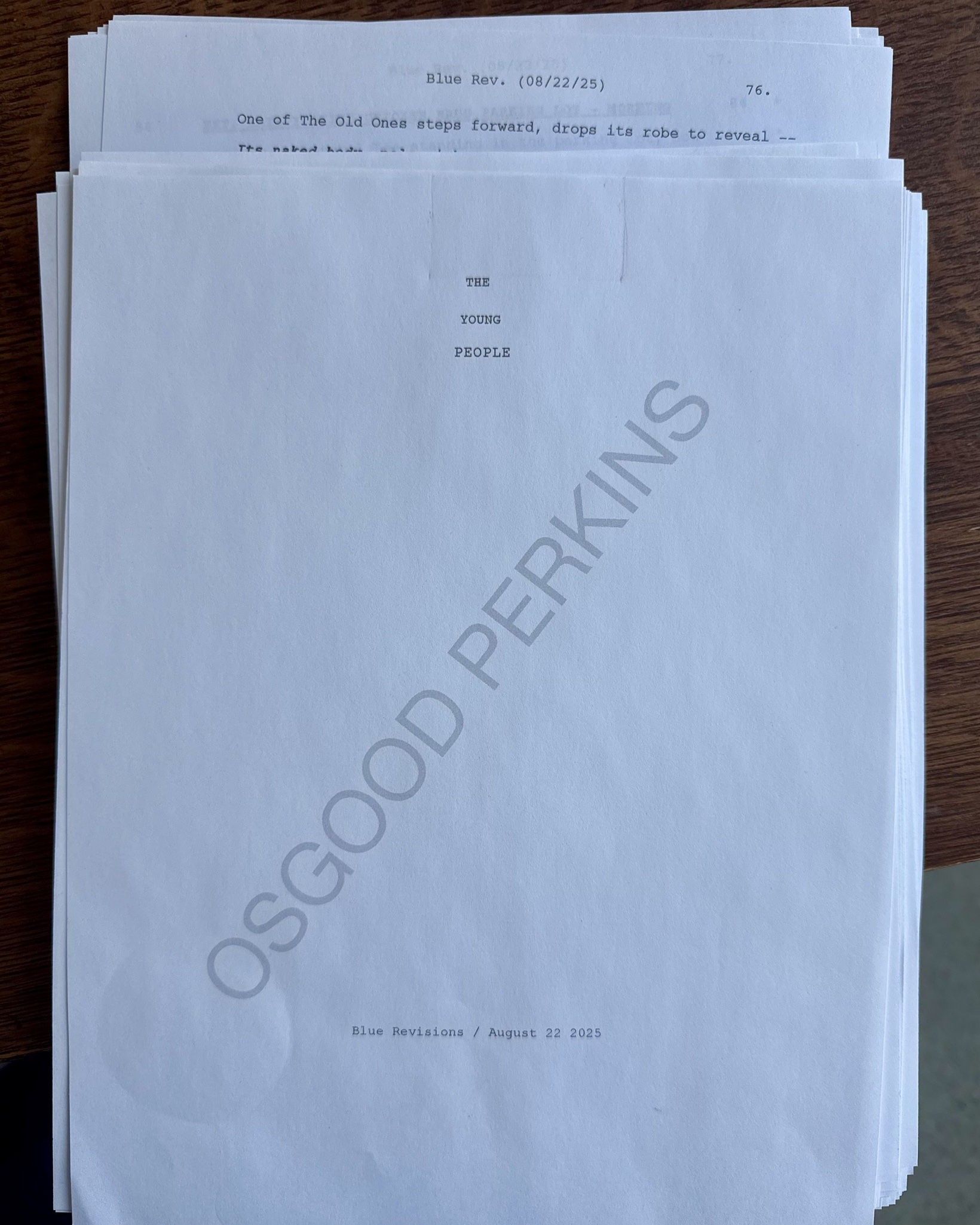 Главные роли в новом фильме режиссёра «Собирателя душ» сыграют Лола Тун и Нико Паркер - фото 2