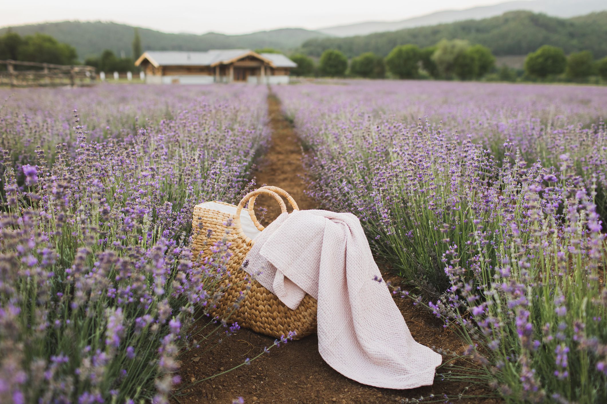 Какая ты girl сегодня: Лето 2025 года в «корах» - изображение 6 Какая ты girl сегодня: Лето 2025 года в «корах» - фото 6