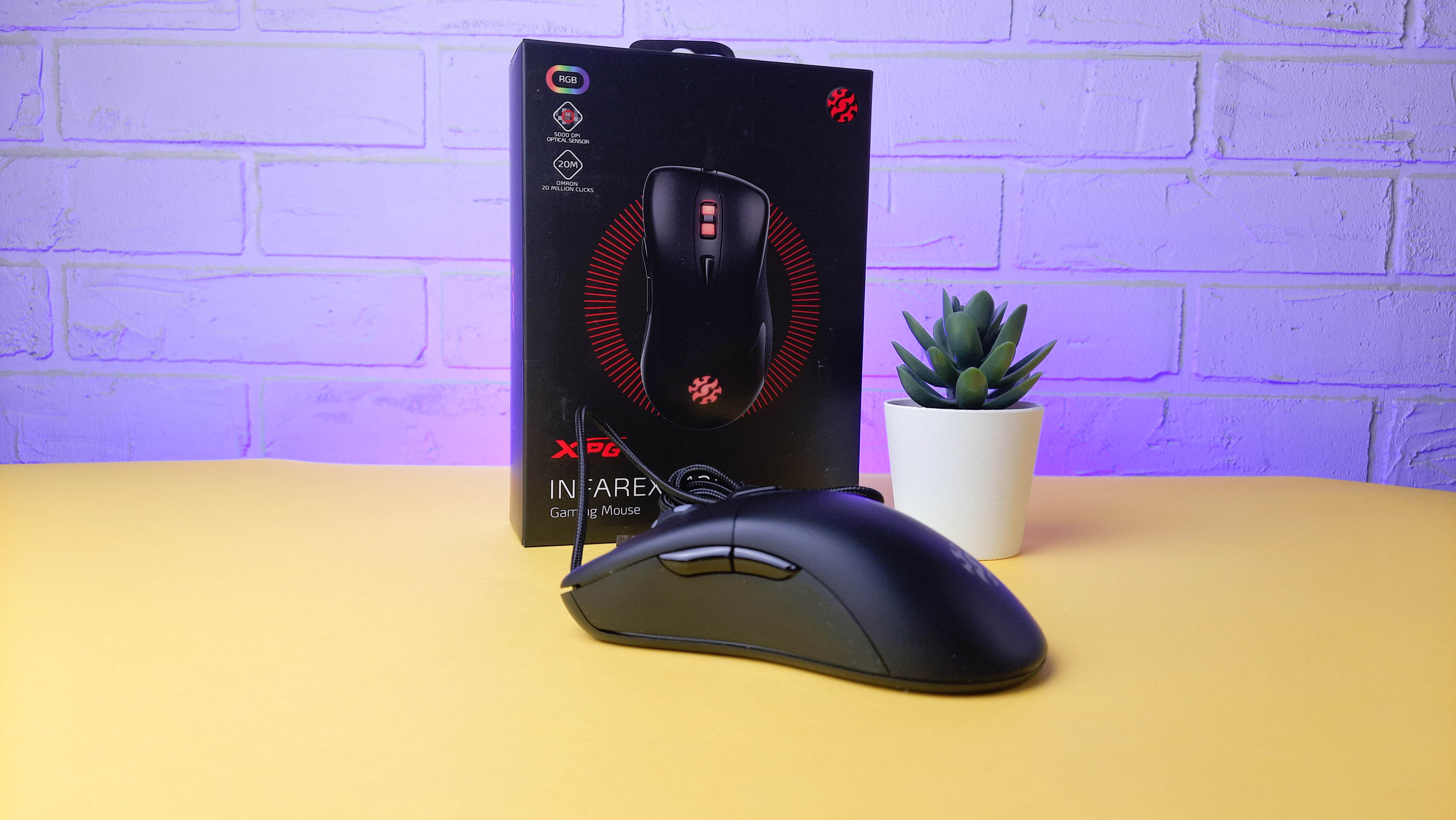 Обзор XPG Infarex M20: бюджетная игровая мышка с RGB-подсветкой - фото 1