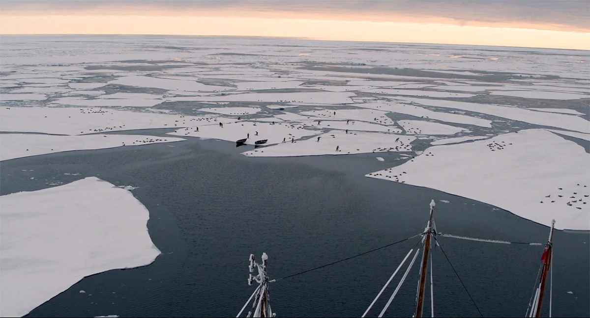 Обзор 1 серии «Северных вод». Брутальная историческая драма об охоте на китов с Колином Фарреллом - фото 1