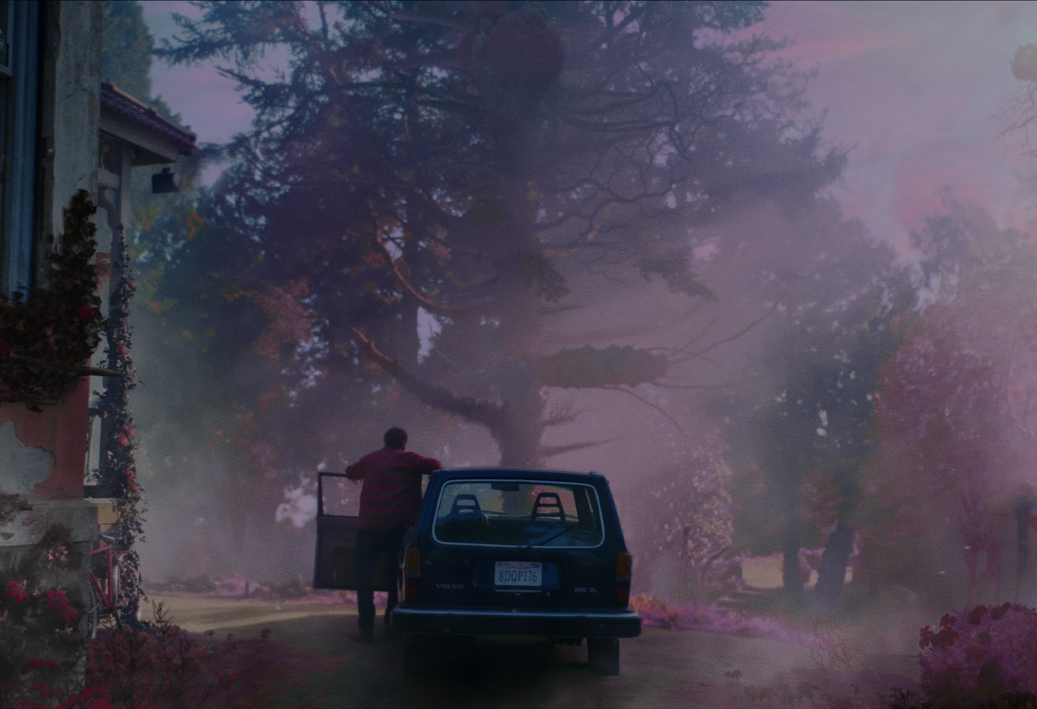 Кадр из фильма «Цвет из иных миров»

Источник: XYZ Films