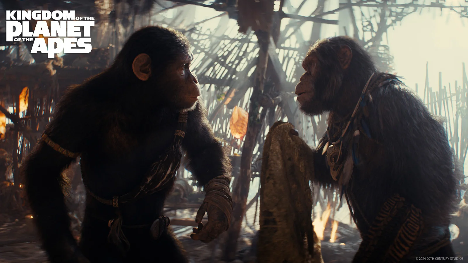 Кадр фильма «Планета обезьян: Новое царство» (2024)