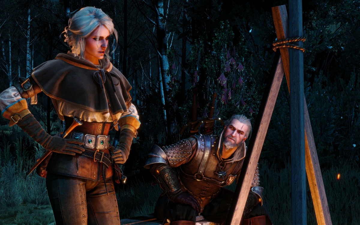 Скриншот игры The Witcher 3: Wild Hunt