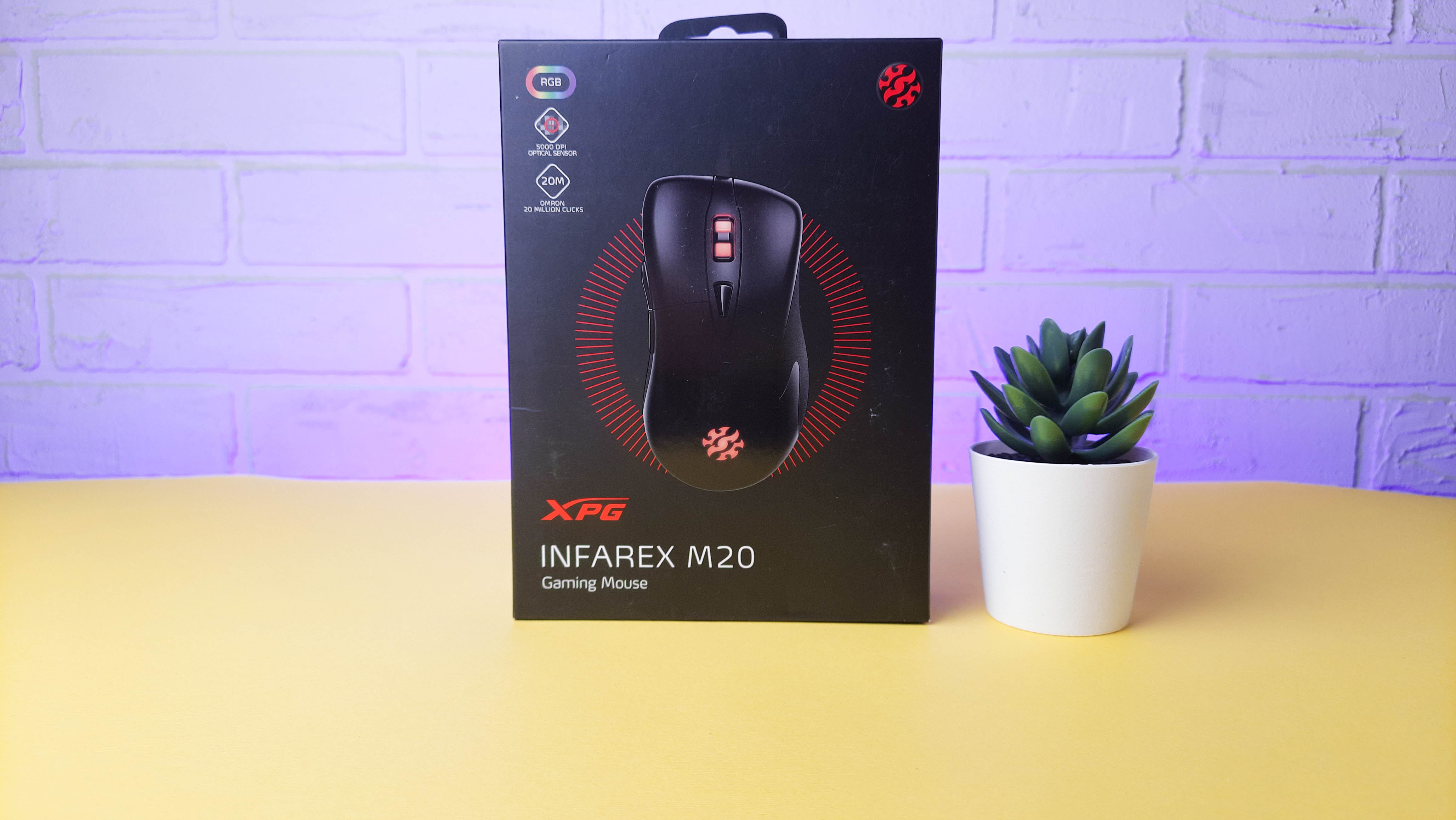 Обзор XPG Infarex M20: бюджетная игровая мышка с RGB-подсветкой - фото 9