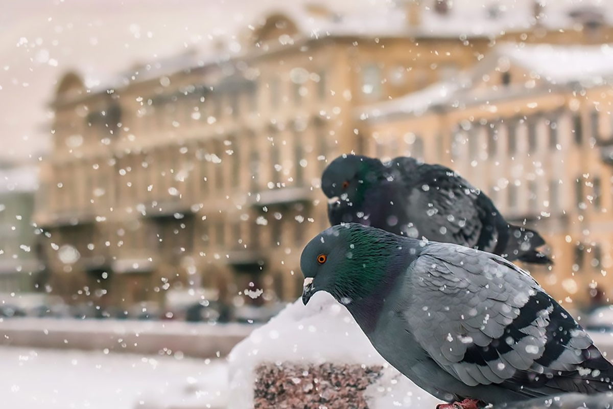 Как выбрать лучший солнцезащитный крем для лица - изображение 13 Как выбрать лучший солнцезащитный крем для лица - фото 13