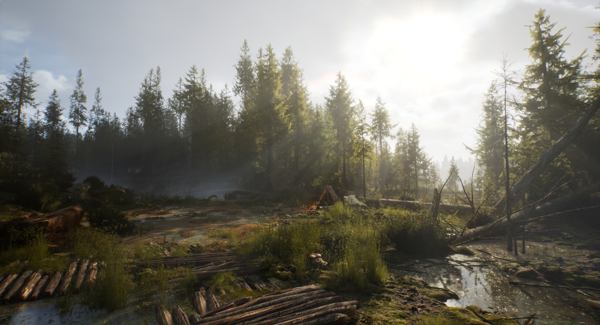 Разработчики «Смуты» показали новый скриншот с болотом - изображение 1 Разработчики «Смуты» показали новый скриншот с болотом - фото 1